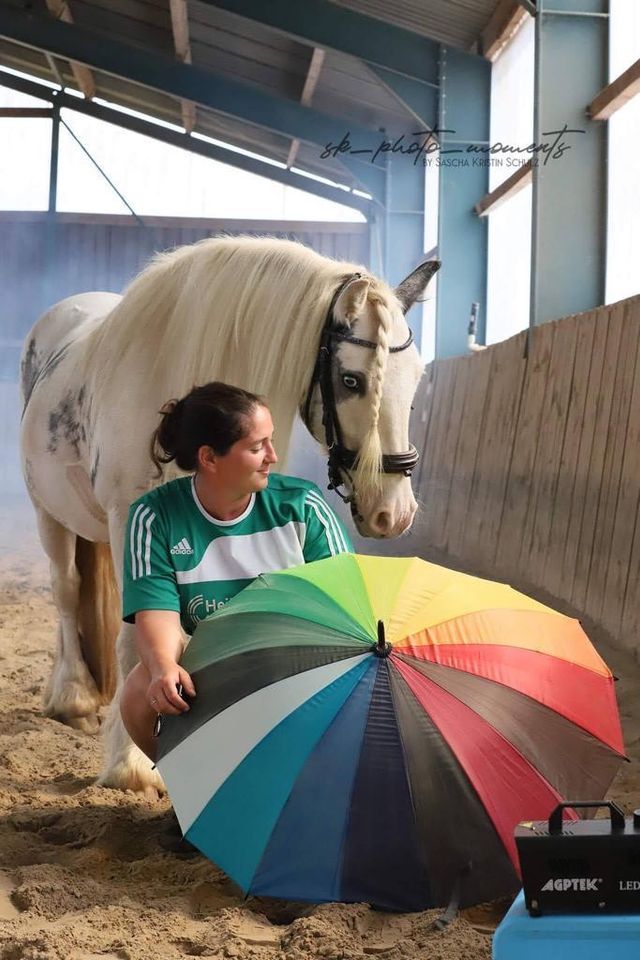 Gadzali Westerwald Kreis Beritt Korrektur Reiten Training Bemer Verleih Inhalationsgerät Verleih